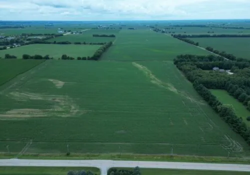 Auction Services by Hickey Auctioneering