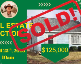 Real Estate Auction