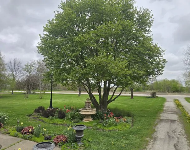 Large Estate Auction – Lawn and Landscape Equipment, Household, Collectibles