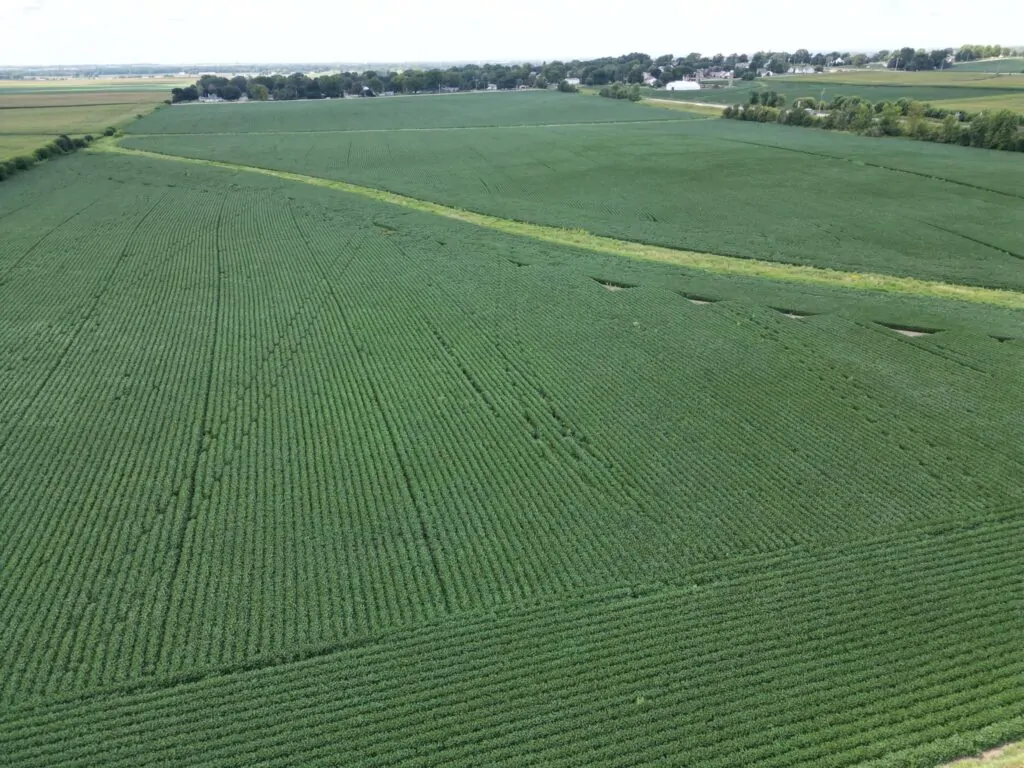 Land Auction 160 Acres – Monroe Center, IL