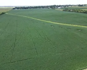 Land Auction 160 Acres – Monroe Center, IL
