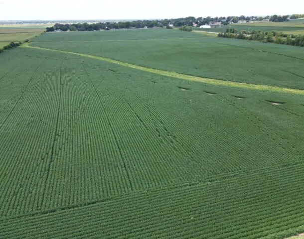 Land Auction 160 Acres – Monroe Center, IL