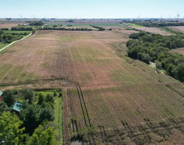 Land Auction 133 +/- Acres Willow Creek Township, Lee County, IL