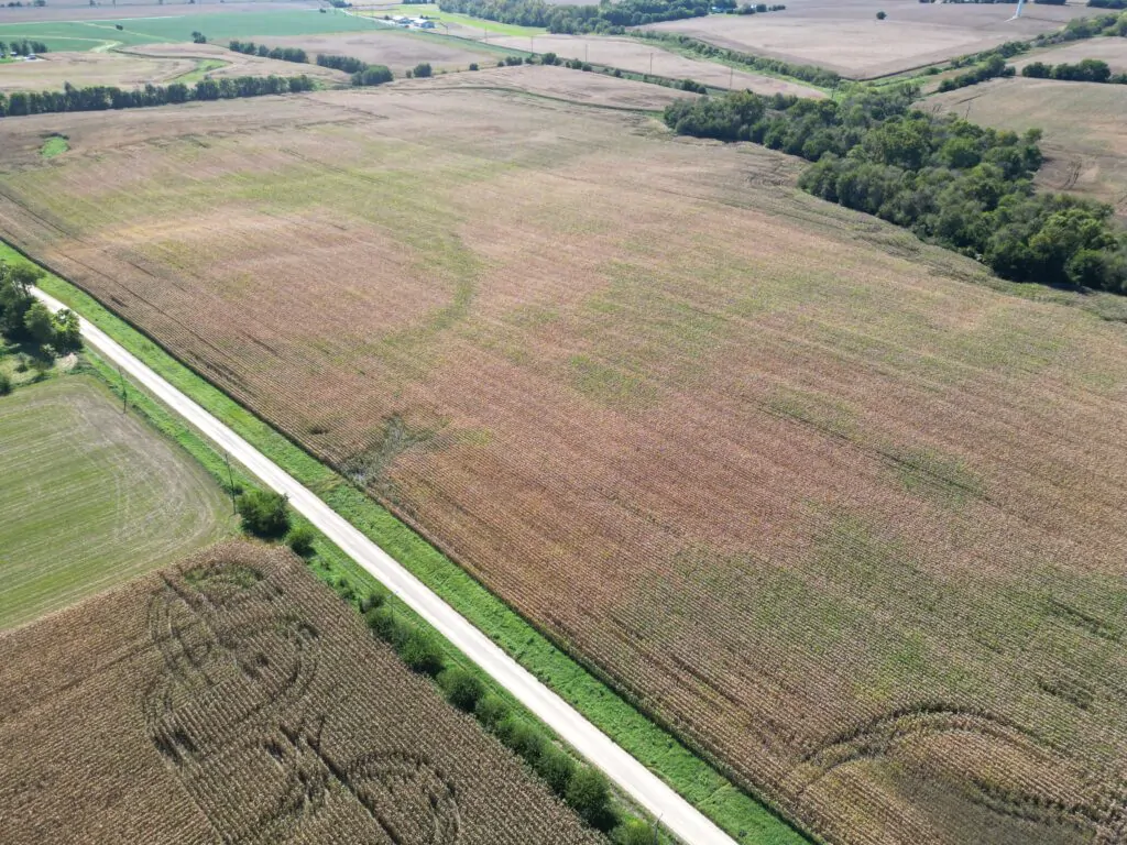 Land Auction 133 +/- Acres Willow Creek Township, Lee County, IL