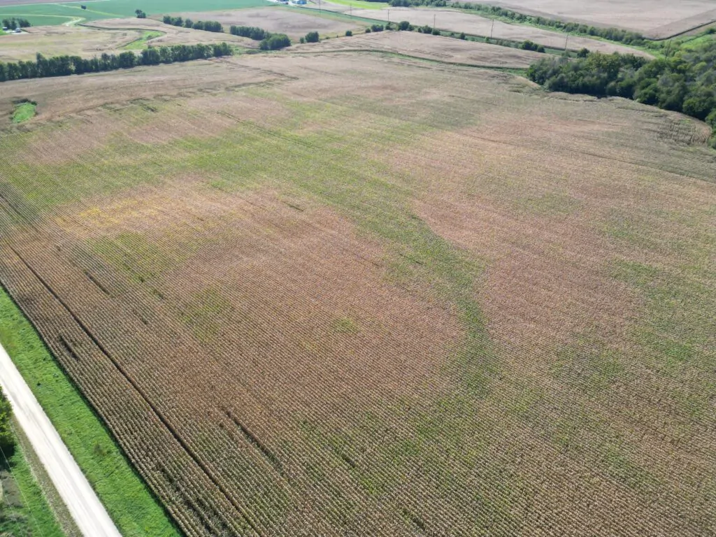 Land Auction 133 +/- Acres Willow Creek Township, Lee County, IL