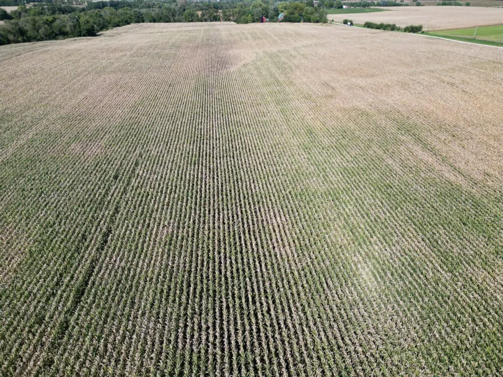Land Auction 133 +/- Acres Willow Creek Township, Lee County, IL