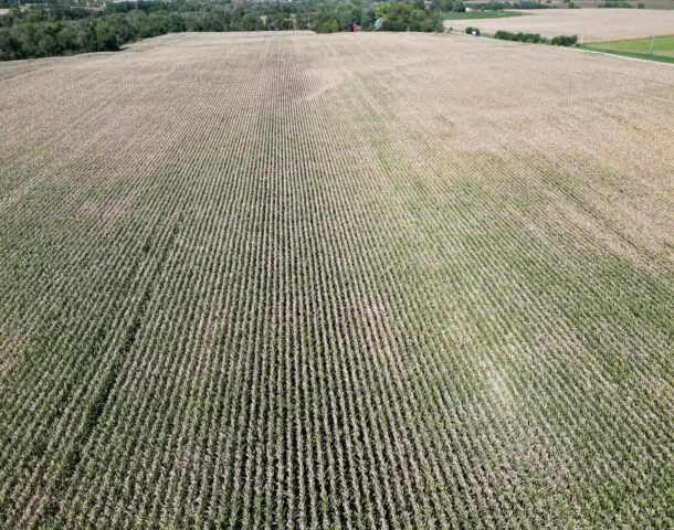 Land Auction 133 +/- Acres Willow Creek Township, Lee County, IL